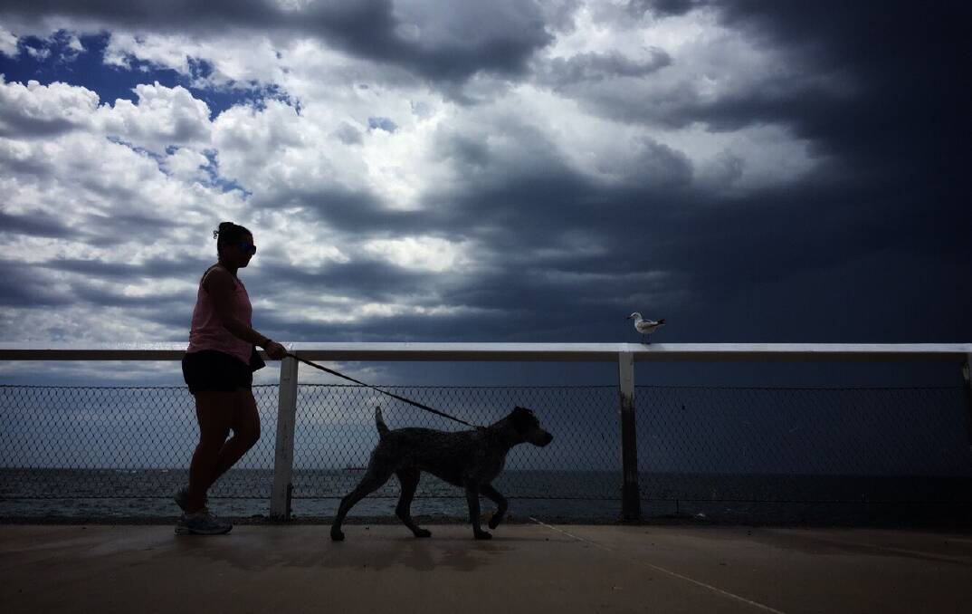 WALK THE LINE: Walking the dog into the dark and ominous. Picture: Simone De Peak