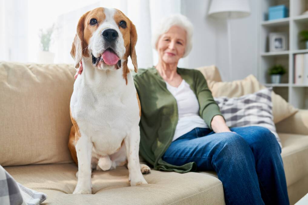 Animal Welfare League Australia advocates for policies that keep older people and their pets together as long as it works for both.