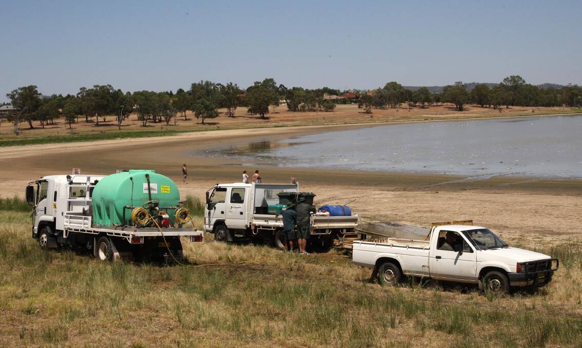 FLASHBACK: In January 2010, Lake Albert's levels dropped to extremely low levels, resulting in the deaths of thousands of fish, and leaving it unusable by water sports enthusiasts. Council workers had the task of cleaning.