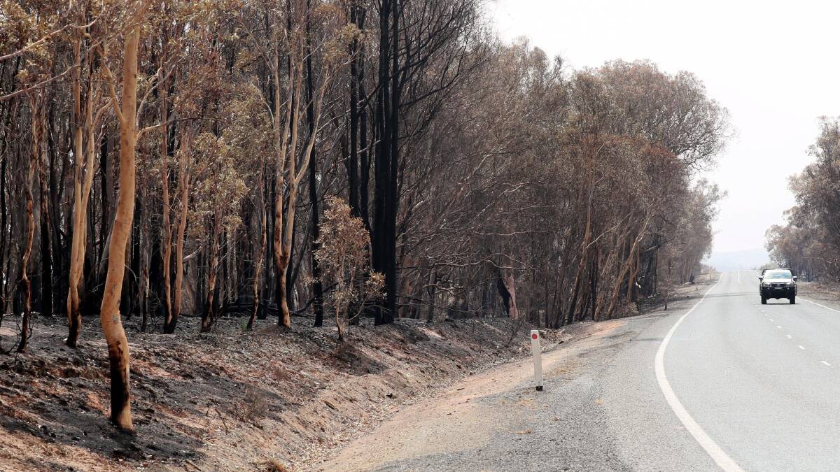 Bushfires swept through the Snowy Valleys region in January.