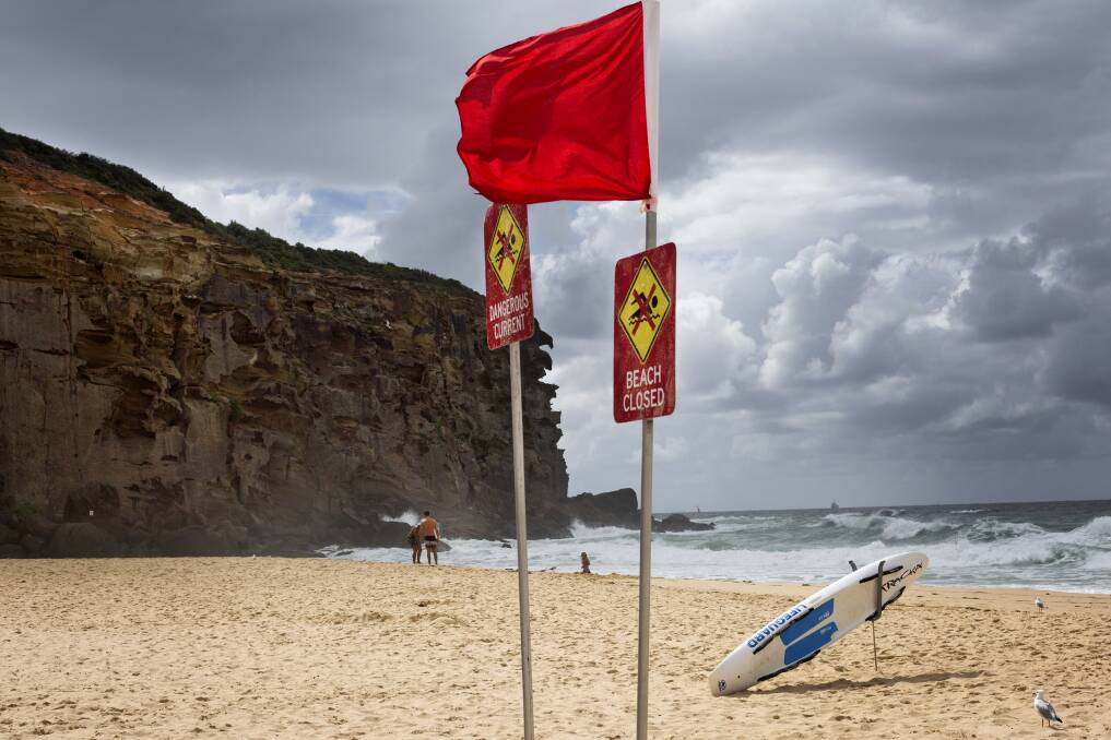 RED FLAG: Lake Macquarie City Council officers will work to educate dog owners on Redhead beach this weekend. Picture: Ryan Stuart
