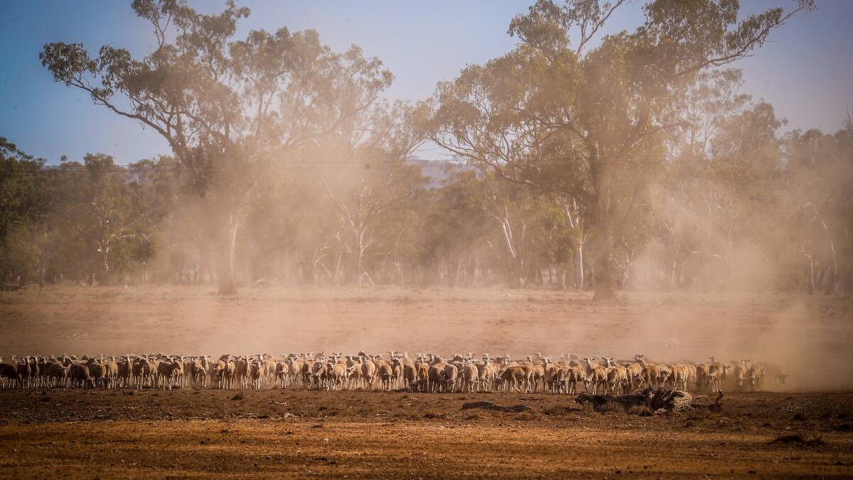 Policy change needed: The government has done virtually nothing to improve the drought resilience of our soils, or taken other measures to deal with the intensity of droughts, argues John Hewson. Picture: Getty Images