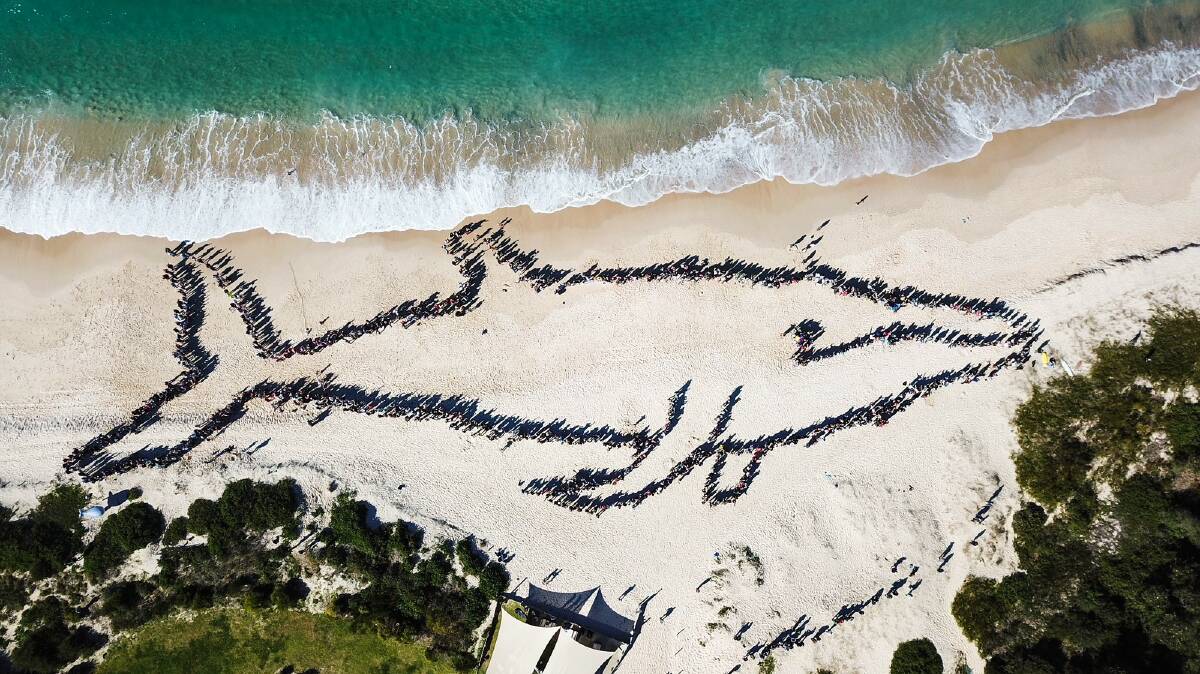 BEACHED AS: A total of 1318 people helped create the outline of a 120m long humpback whale at Fingal last year. Picture: One Shot Productions