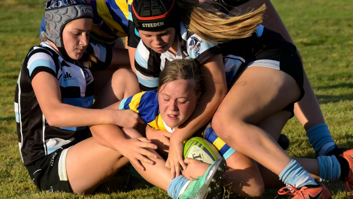 “Under existing competition rules, girls up to the age of 12 years can play mixed gender rugby but there has been little pathway to continue their development and great enthusiasm for the code in later years," HJRU president Julien Castaldi said. Picture: Pat Gleeson
