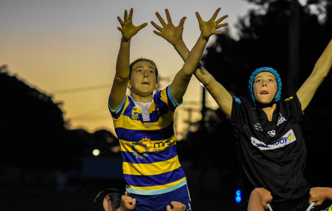 Some of the clubs already committed to fielding teams in the 2019 competition include Merewether-Carlton, Hamilton Hawks, Waratahs, Easts, Southern Beaches-Wanderers, and Nelson Bay Gropers. Picture: Pat Gleeson