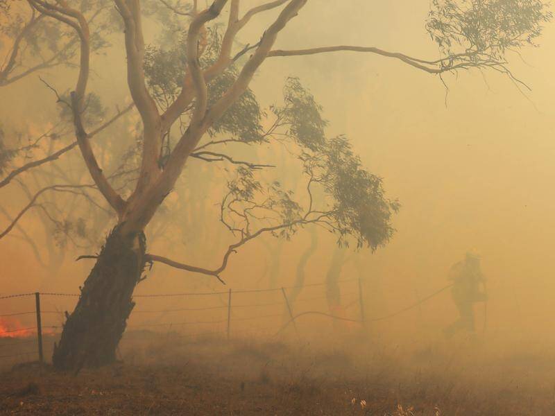 A NSW volunteer has been charged with deliberately lighting fires during the Black Summer bushfires.