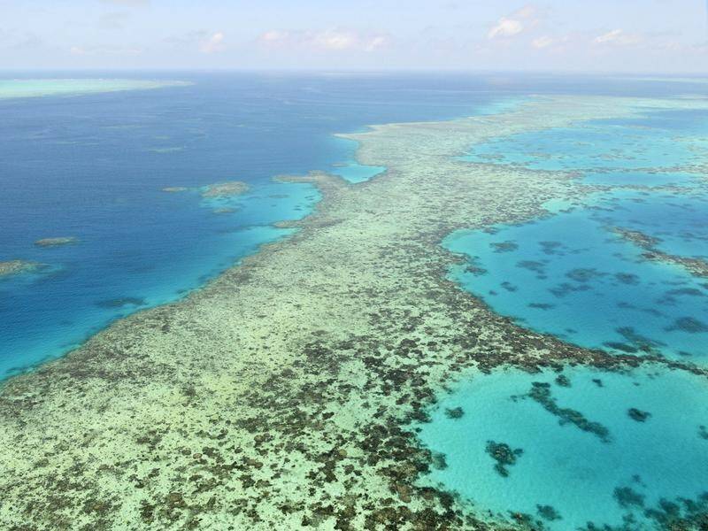 Dirty river run-off affects the Great Barrier Reef's recovery from climate events, a study says.