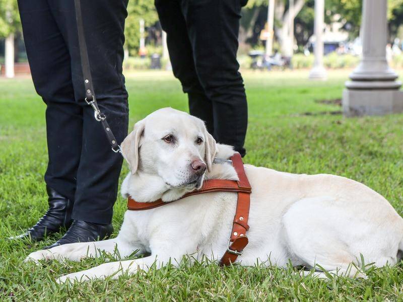 Melbourne dog lovers are invited to help raise funds and awareness of the importance of guide dogs.