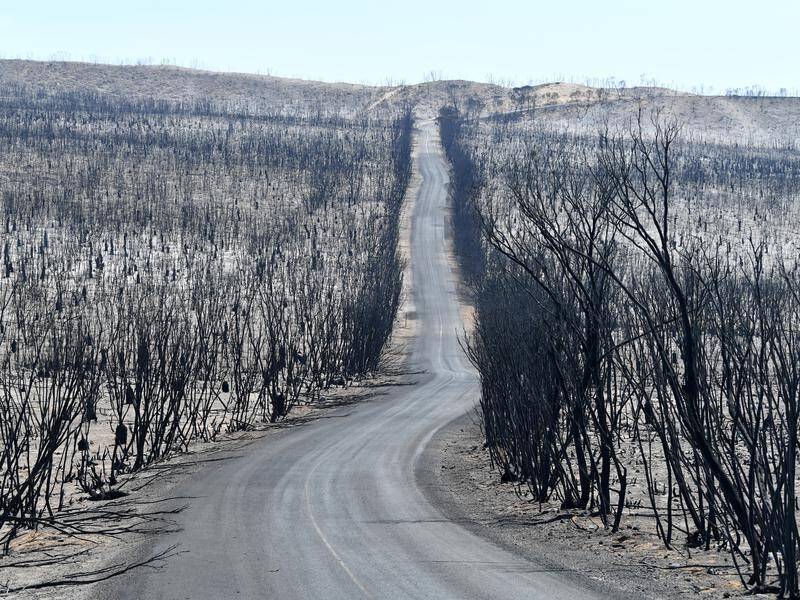 The Kangaroo Island bushfire is contained after more than three weeks and 210000 hectares burnt.