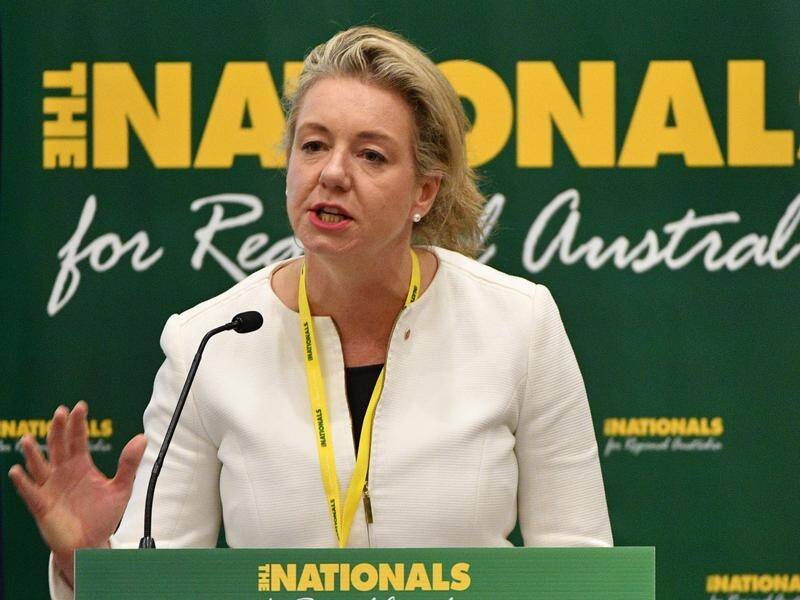 Bridget McKenzie reportedly awarded a shooting club $36,000 without declaring she was a member.
