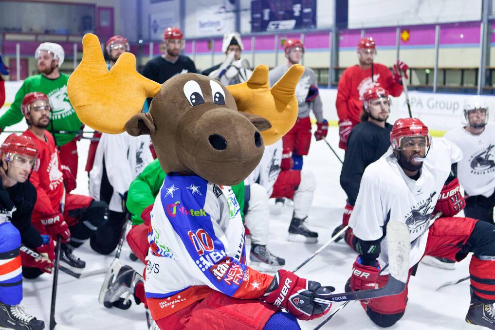Newcastle North Stars in training, with an appearance from the team's new mascot, Marty Moose. Picture: Mark Bradford.