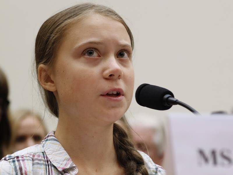 Teenage activist Greta Thunberg has testified before Congress ahead of a global climate strike.
