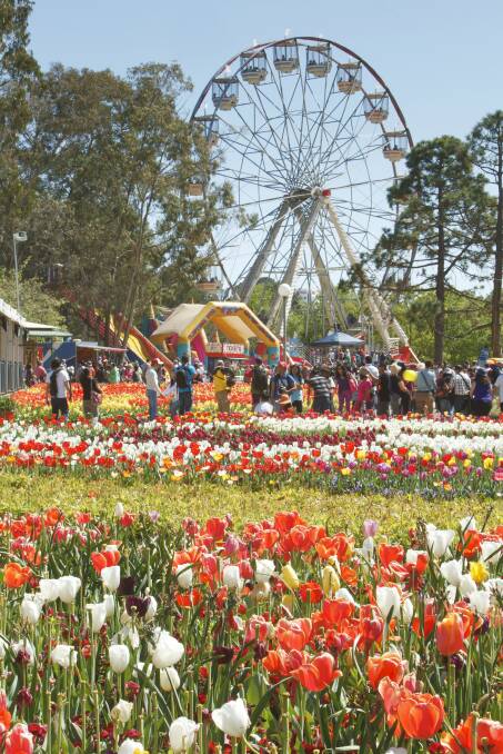 More than one million bulbs are ready to bloom in Commonwealth Park for Floriade.