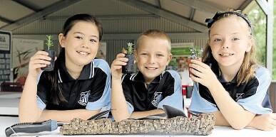 Raymond Terrace Public School students Karen Woolley, Kolby Masom and Emilija Winters spent a rainy afternoon propagating plant cuttings inside the screened-in learning pavilion.