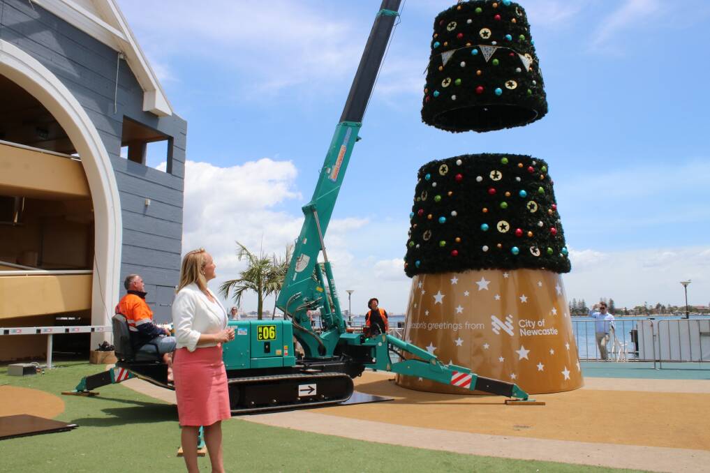 Assembly: Lord mayor Nuatali Nelmes at Queens Wharf as an 11-metre tall Christmas tree is put together.