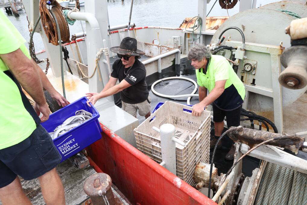 Behind the scenes as the 2024 Easter long-weekend seafood haul is brought in. Pictures by Peter Lorimer