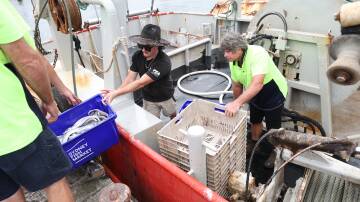 Deckhand Riley Hicks and skipper Brett Bollinger unload fishing trawler Maxie B with the last haul before the Easter deadline at the Newcastle co-op on Wednesday afternoon. Picture by Peter Lorimer