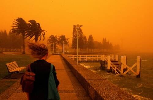 A walker battles the wind and dust on Newcastle Harbour this morning. Picture by Kitty Hill